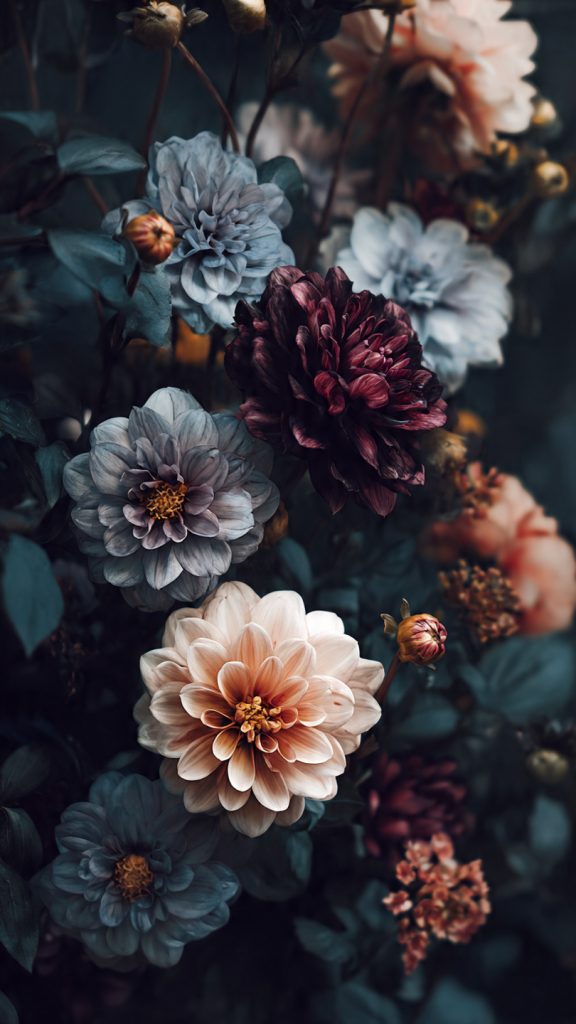 an attractive image of dark floral aesthetic wallp