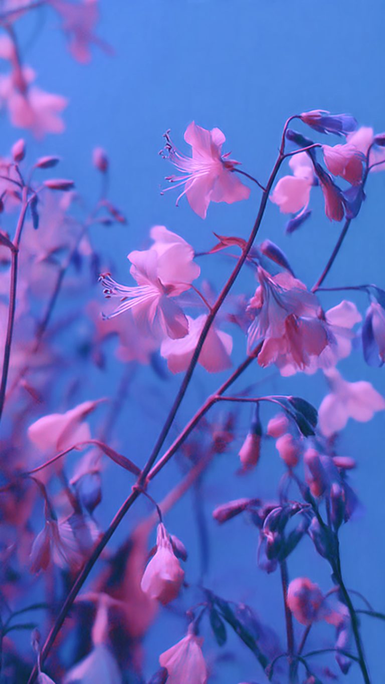 wallpaper aesthetic azul