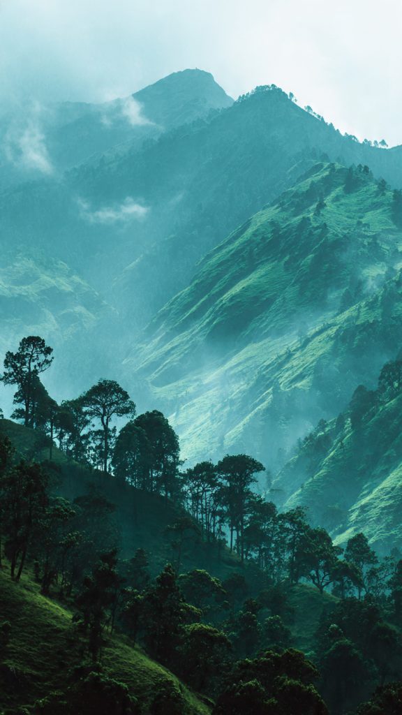 an attractive image of misty green mountain landsc