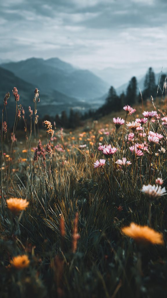 an attractive image of soft meadow landscape wallp