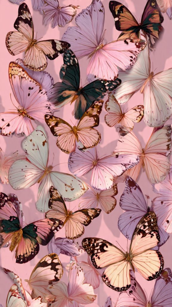 butterfly aesthetic wallpaper 1