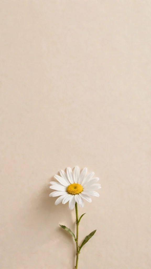 Minimalist single white daisy on beige wallpaper iPhone flowers