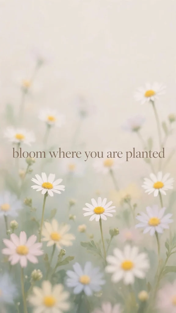 bloom where you are planted wallpaper aesthetic quotes daisy field