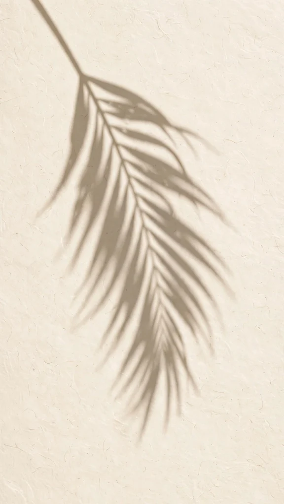 17 wallpaper iphone ipad Wallpapers for iPhone and iPad 4 palm leaf shadow on cream paper wallpaper iphone ipad aesthetic texture