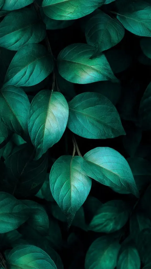 an attractive image of botanical green minimal wal