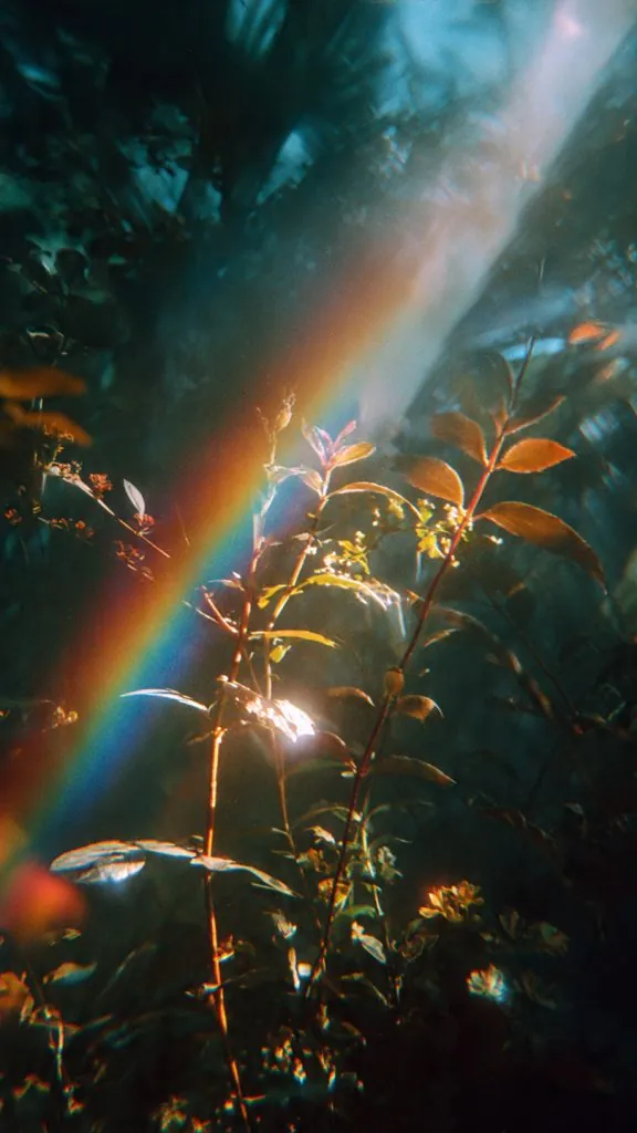 soft rainbow light leaks 1