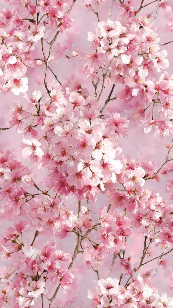Wallpaper Aesthetic iPhone Pink: Dreamy & Cute Pink Background Ideas for Your Lock Screen 4 iPhone Pink