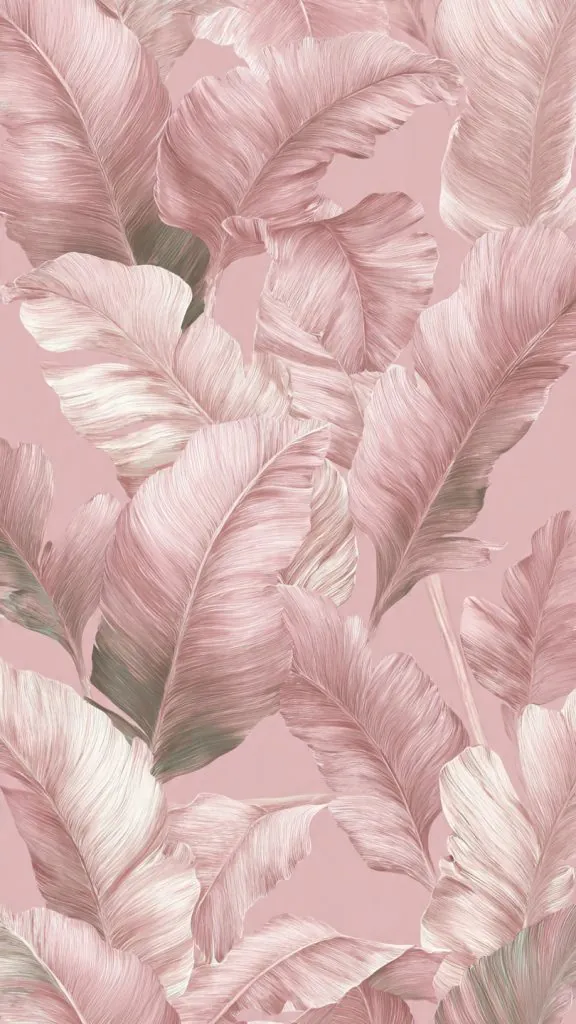 soft pink confidence wallpaper